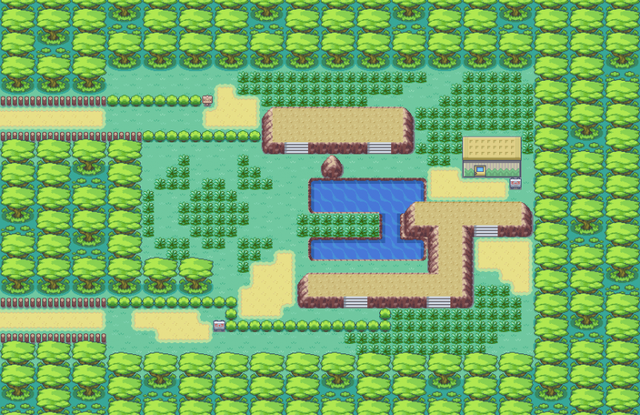 口袋妖怪火红尼比市的小刚在哪里