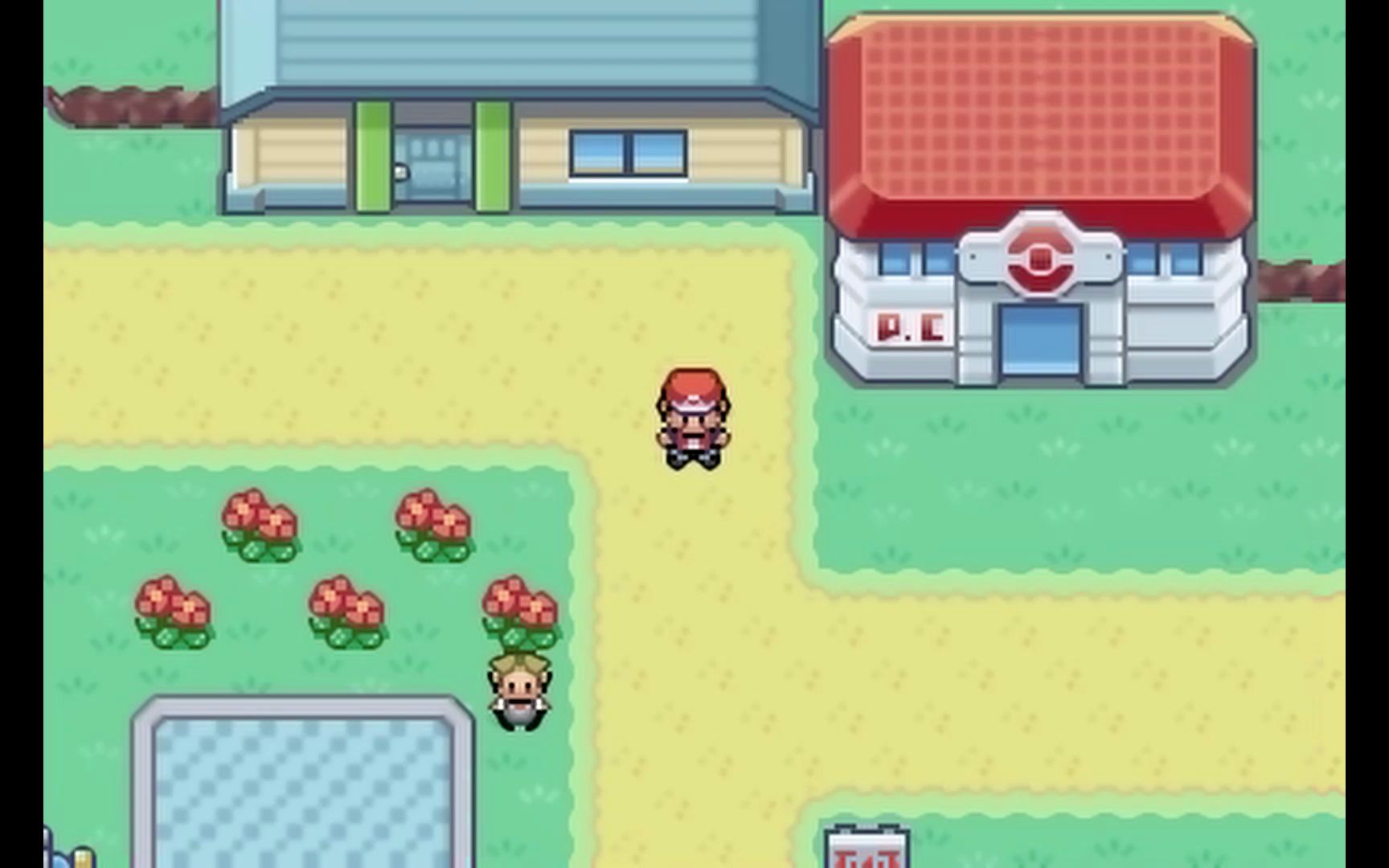 口袋妖怪火红尼比市的小刚在哪里