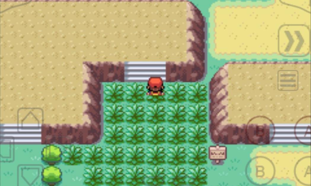 口袋妖怪火红特技在哪