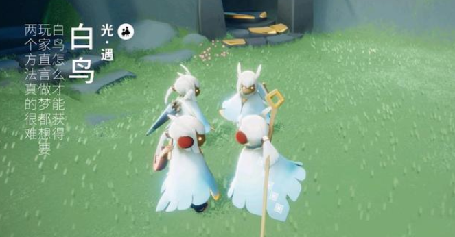 光遇新手教程悬崖怎么飞过