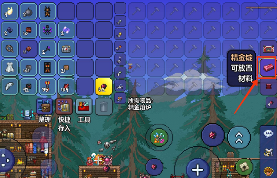 泰拉瑞亚禁装是什么