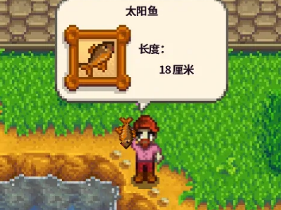 星露谷物语怎么钓太阳鱼