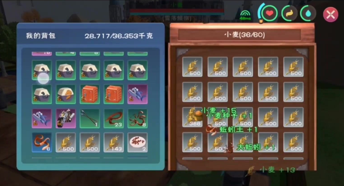 创造与魔法小麦哪里多