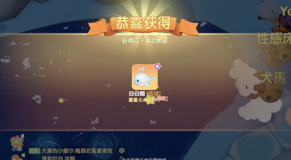 摩尔庄园白白鲸怎么使用