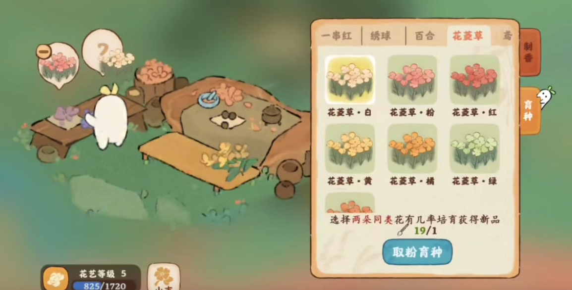 桃源深处有人家白花菱草怎么种
