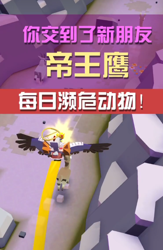 疯狂动物园怎么寻找伴侣装备