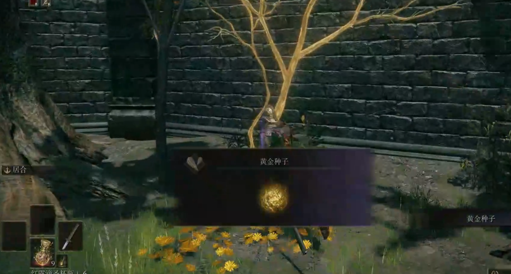 艾尔登法环新手怎么出去