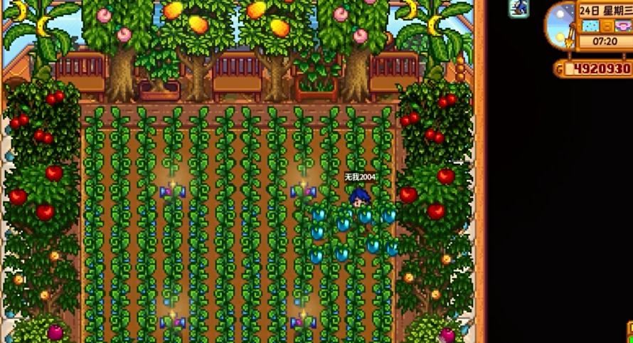 星露谷物语什么东西最好