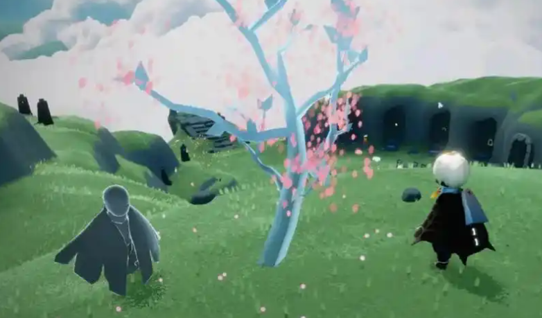 光遇在云野赏花怎么做 光遇在云野赏花怎么做