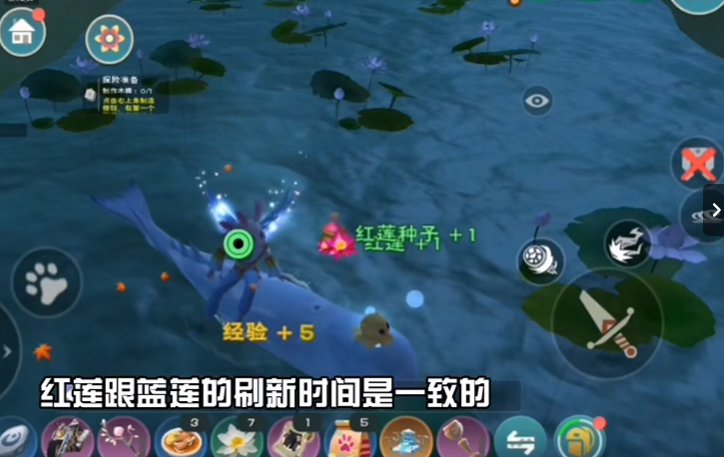 创造与魔法红莲在哪里