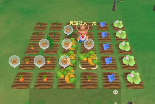 摩尔庄园怎么布置田地