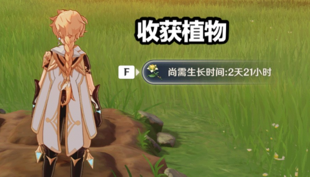 原神家园田地怎么放 原神家园田地怎么放