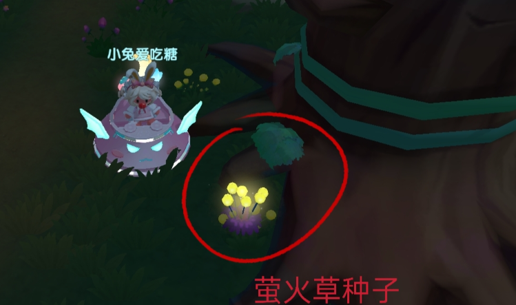 摩尔庄园萤火草种子怎么得