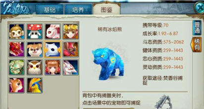 诛仙手游天华用什么宠物技能