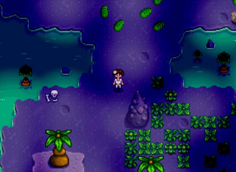 星露谷物语女巫在哪里