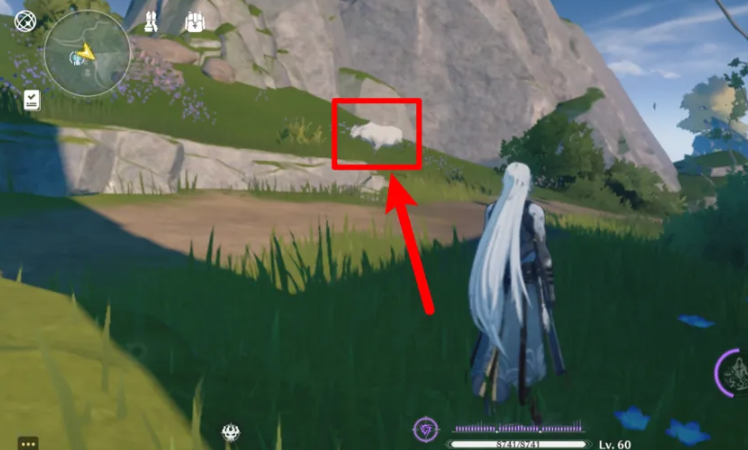 鸣潮如何获得兽肉