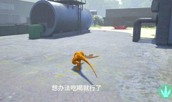 恐龙岛怎么进化成大龙