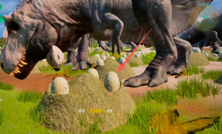 恐龙岛怎么孵蛋快 恐龙岛怎么孵蛋快