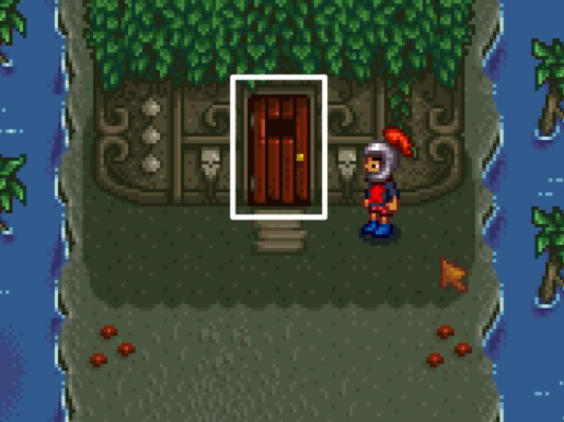 星露谷物语女巫在哪里