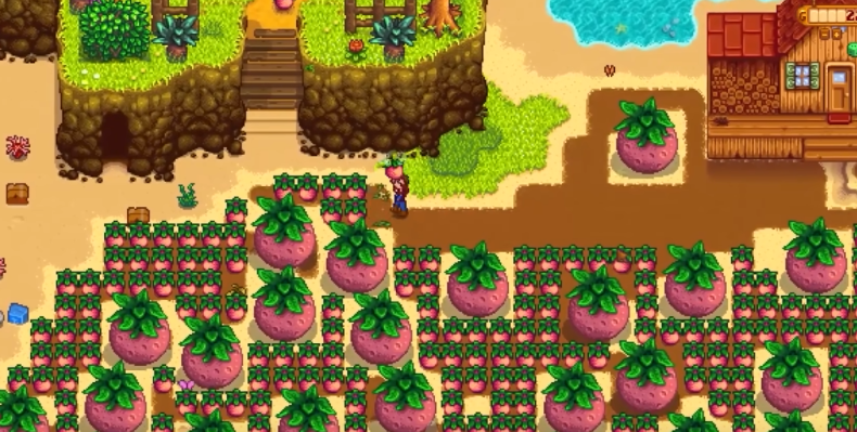 星露谷物语夏天需要做什么