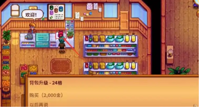 星露谷物语刚开始种什么好