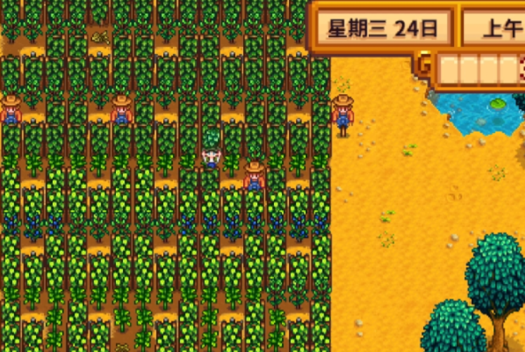 星露谷物语酿酒流种什么最好