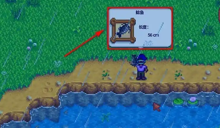 星露谷物语夏天雨天有什么特殊鱼