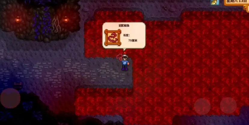 星露谷物语夏天雨天有什么特殊鱼