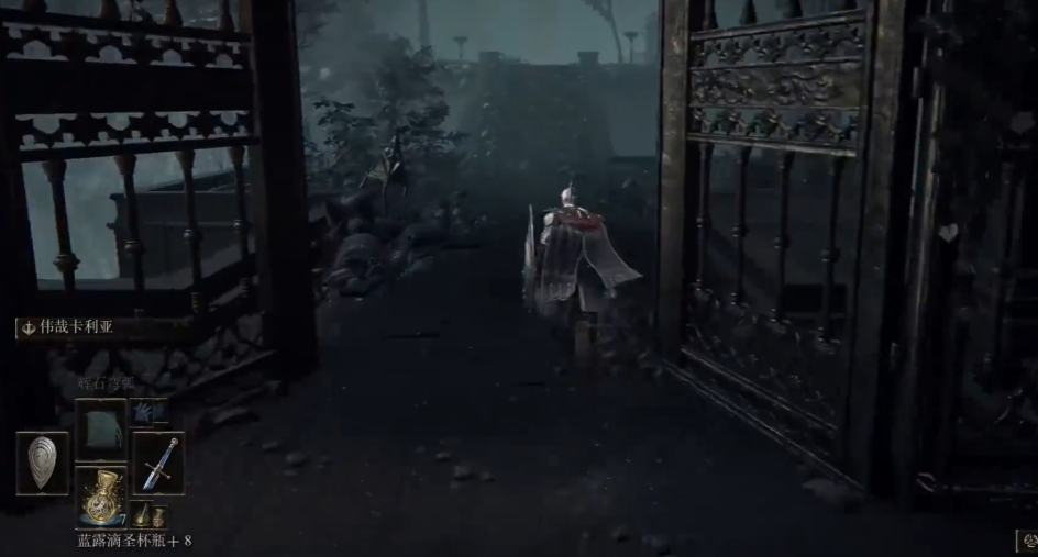 艾尔登法环卡利亚套装是什么